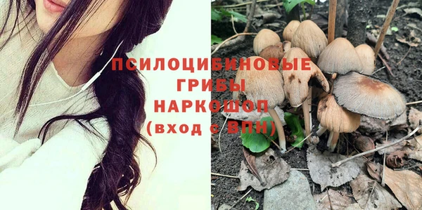 ешки Абаза