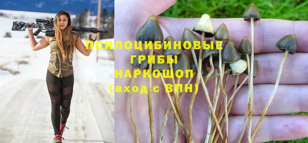 ешки Абаза