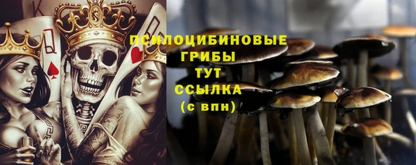 ешки Абаза