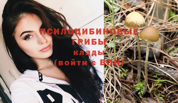 ешки Абаза